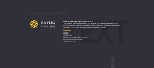 塑造卓越形象，铸就财富投资企业的品牌之光