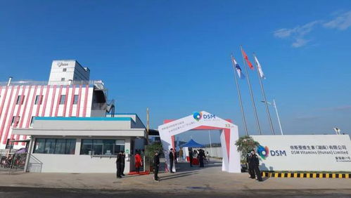 帝斯曼动物营养与保健衡阳布局，加速大中华区预混料市场拓展